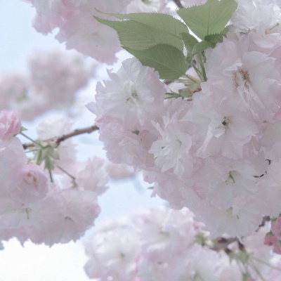 Furry插画色彩解析福瑞交流群